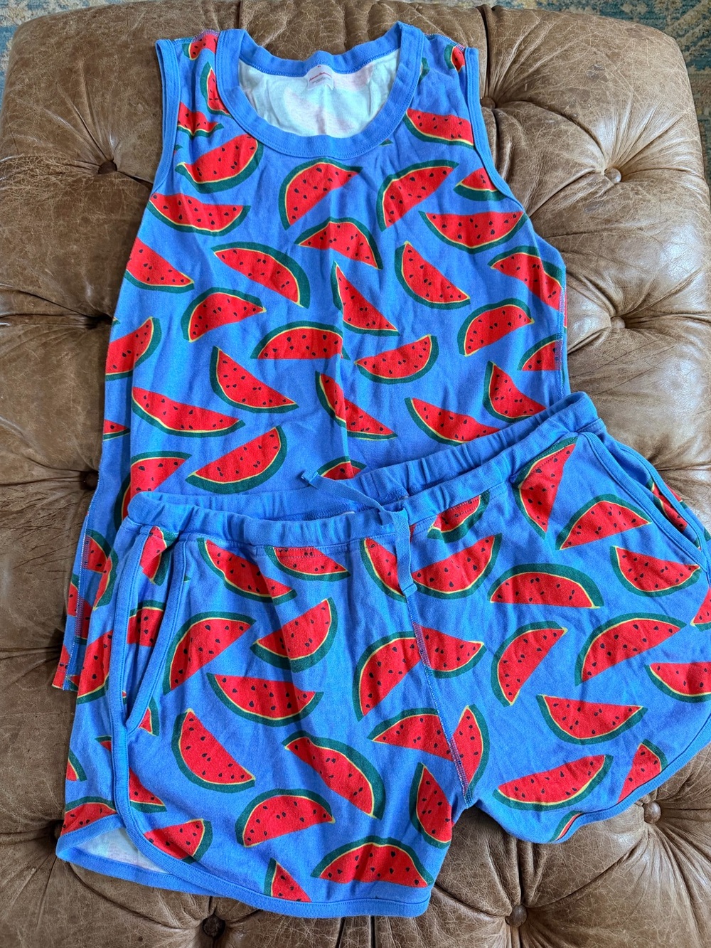 Hanna Andersson Women’s XL Watermelon Pajama Set Tank Top Shorts Blue Summer PJs